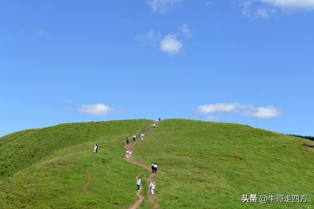 河北麻田岭（上）：绿野铺毡接云影、风轮伴路探山魂