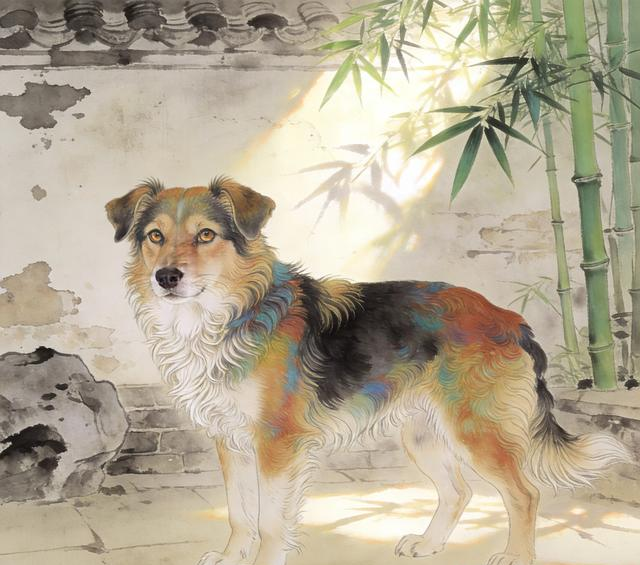 戌狗留意！7号叩开你大门的不是贵人，而是你的后半生