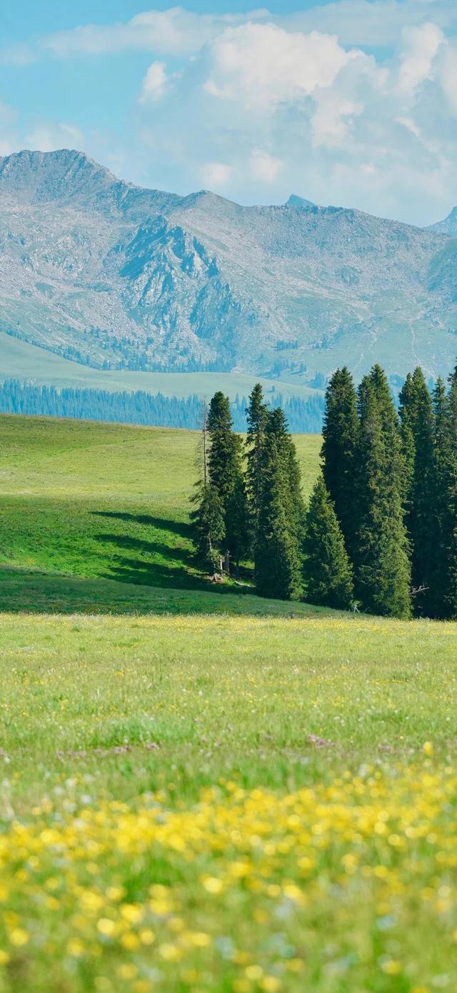 手机壁纸|简约的自然风光美景