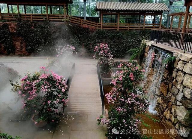 李永辉：寻芳“花舞人间”