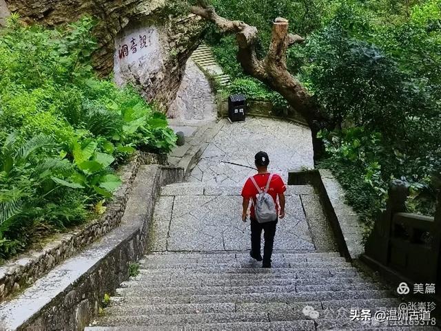 探秘雁荡三绝之一的绝美风光！来一次深度游~