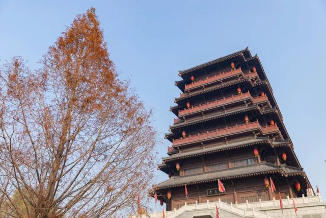 未央之秋，共赴一场金色约会