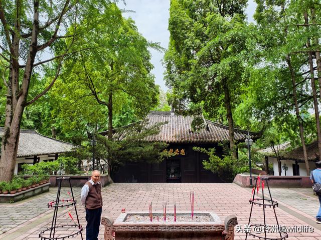 成都徒步（64）·新津篇③观音寺