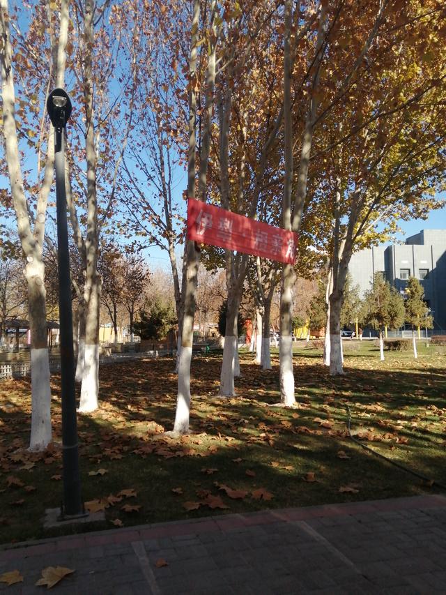 汉滨公园的冬日独白