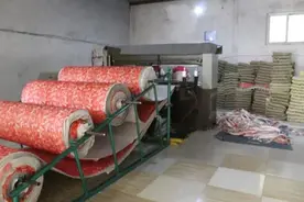 农村里的小型加工厂，不需要请人，夫妻两人即可，一年赚个48万图片