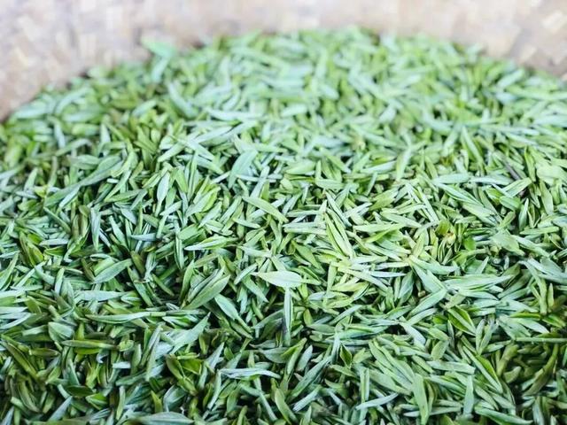 踩着节奏出发，在成都蒲江追风！