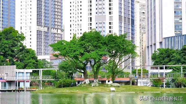 成都扩张“吞并”的郊区，地势平坦全域无山丘，为何被称为睡城？