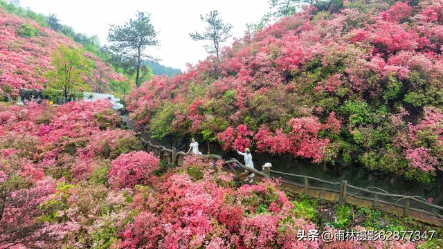 在黄陂，这样的美景你见过吗？