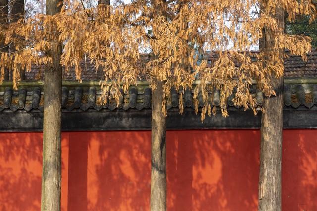 今日小雪初晴，襄阳变身美拉德色系的山水画框！