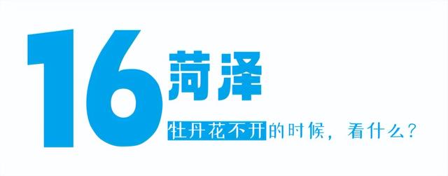 挤景点？太常规！本地人带你开启山东16城土著副本！