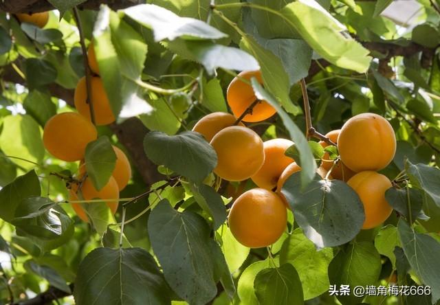 那年去相亲，到了对象家门口，我转身就走，姑娘追上来：跟我回家