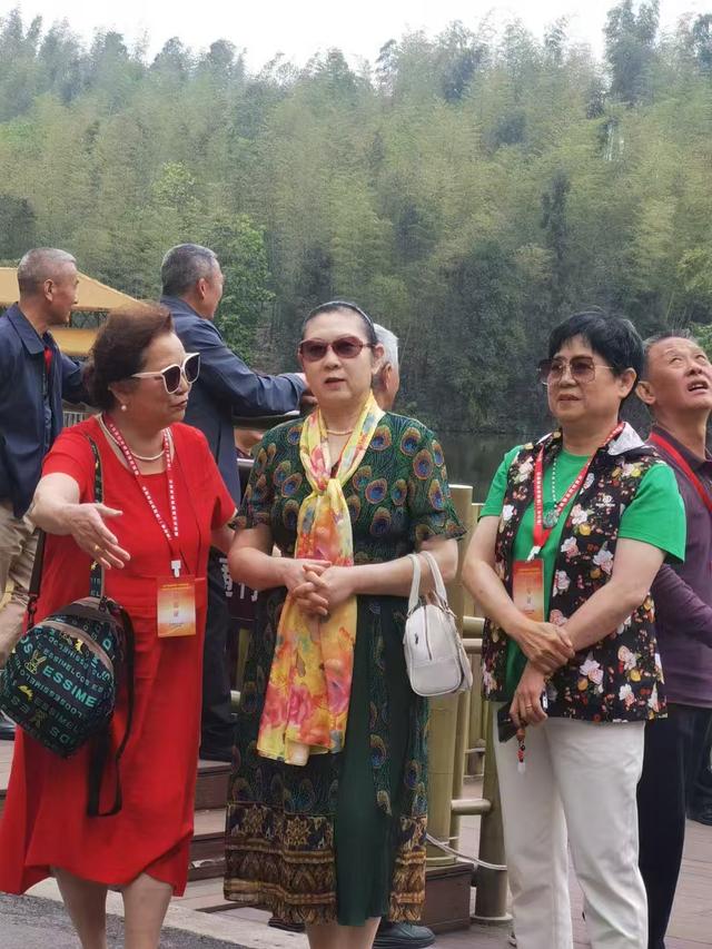 宜宾蜀南竹海游记 38军113师炮兵团火箭炮十连宜宾联谊会素描之二