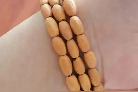 我爸自从开始盘手串，家里吃水果都不能乱扔果核了，都得留着待盘图片