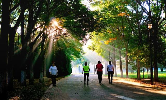 早上跑步好还是晚上好？好多人都做错了	，医生的话不妨听听