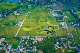 成都唯一！稻菜现代农业园区获评全省“五星级”图片