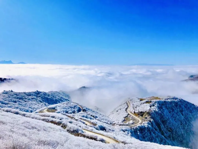 在雅安！！这么美的雪景我当然狠狠宣传啊啊啊！！