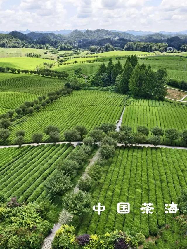 悦遵义·赴春约｜2026遵义春季主题游“1+4+N”玩法全攻略，承包你一整个春天的浪漫