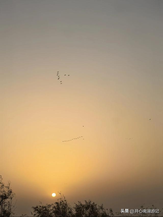 走，去渤海湾看候鸟…