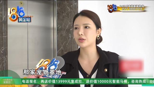 怎么又是这？她还拿出视频，里面“一动不动”，停了几只苍蝇....