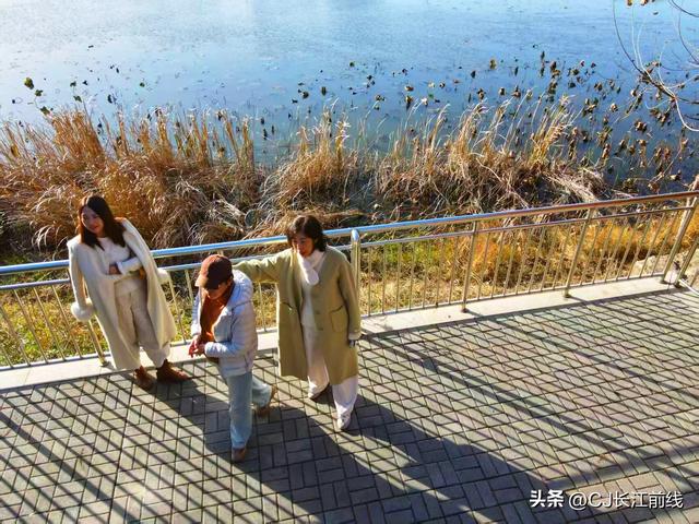 河南淮滨：湖畔杉红景美人更美