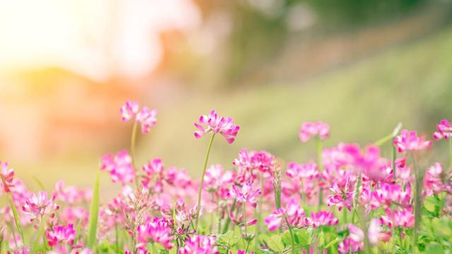 退休后，如何提升个人磁场，3个方面