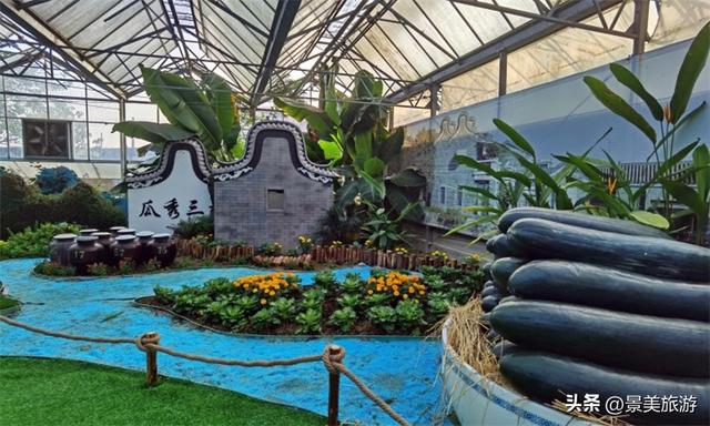 元旦三水南山：一日跨四季，赏花，观烟花，在花香与璀璨中迎新岁