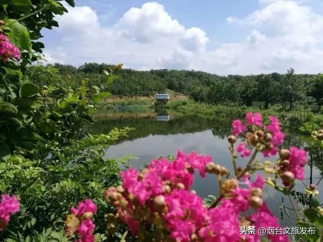 【乐游烟台】新发现！烟台这些小众景点，人少好逛！
