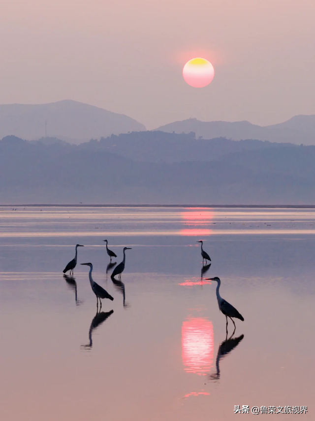 黄河奔涌处，古都盛世行——这场洛阳奢华盛宴藏着千年文明的回响