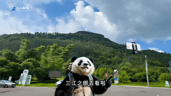 燃！滚滚儿做导游