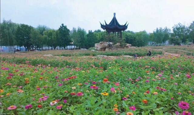 感恩有您，师恩如光 | 临沂景区教师节专属福利来啦