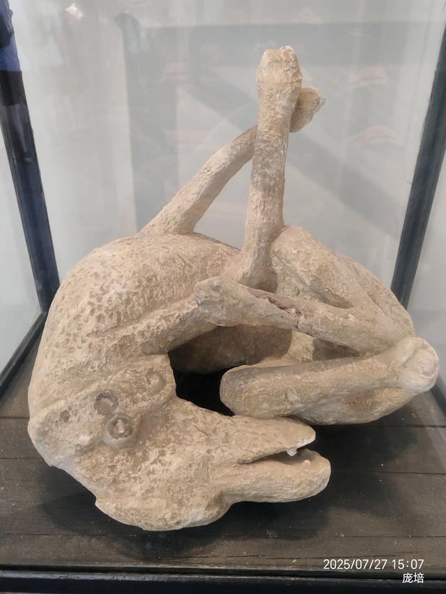 游意大利庞贝古城