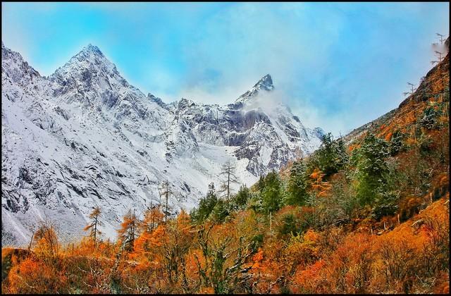 男女情爱的本质：女人慕“鲜活”，男人惜“付出	”