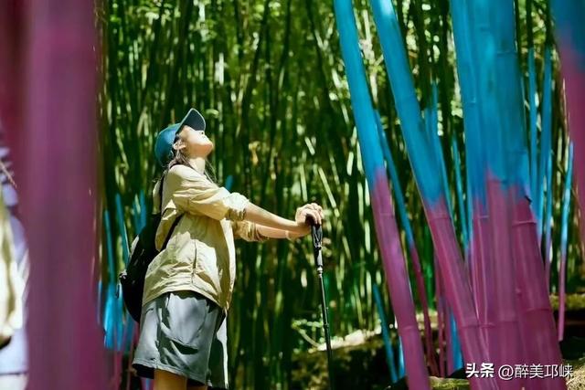 想轻松“拿下”川西竹海？这份攻略请收好~