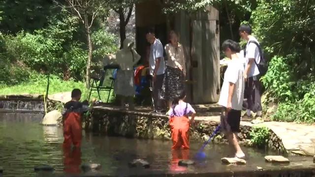 直降8℃！清凉寨避暑游人气旺，特色民宿一房难求