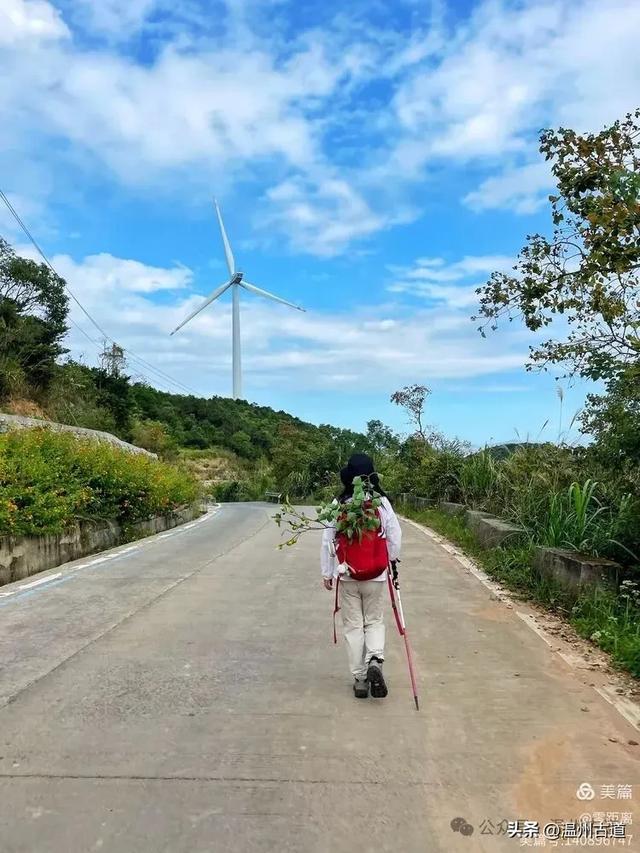 秋风起，浙江这条绝美海岛风光徒步穿越线路，可以安排了！