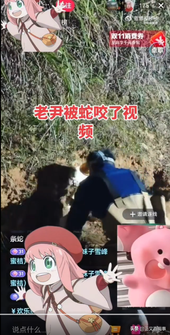 网红被蛇咬后失联续：已修好墓地，与儿女关系一般，曾被外孙打骂