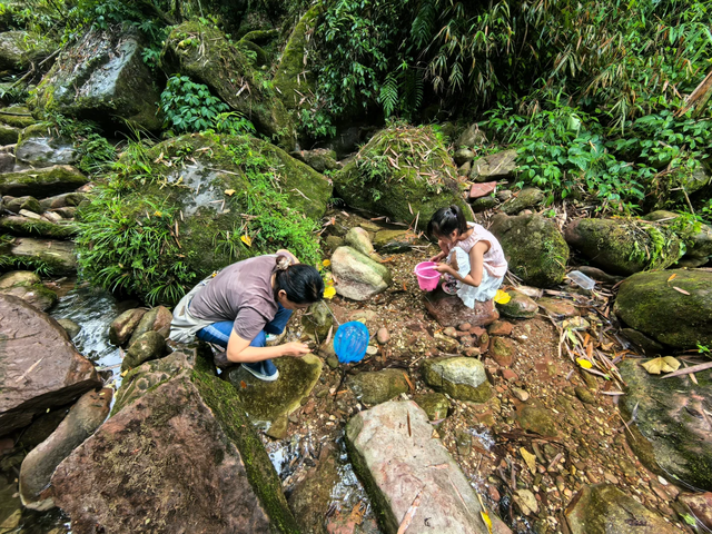 实测低9℃！成都1.5h的免费溯溪玩水遛娃路线，超安逸！