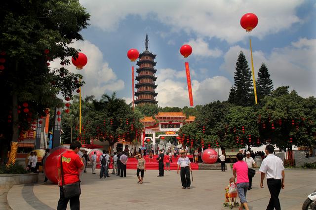 龙峰塔下，聆听龙华三十余载步履与回响