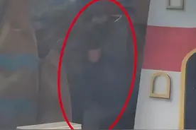 郑州一海洋馆通报“驯养员脚踢海狮”处理结果：驯养员已辞退，为该海狮安排不少于一周的休假图片