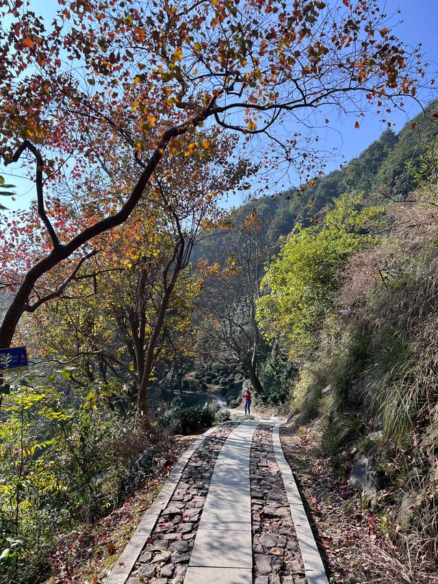 上天竺到云栖竹径，徒步9公里，感受一路秋意。