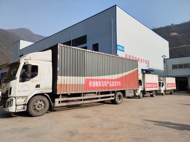 略阳县跨境电商实现“零突破”外资外贸提前完成年度目标任务