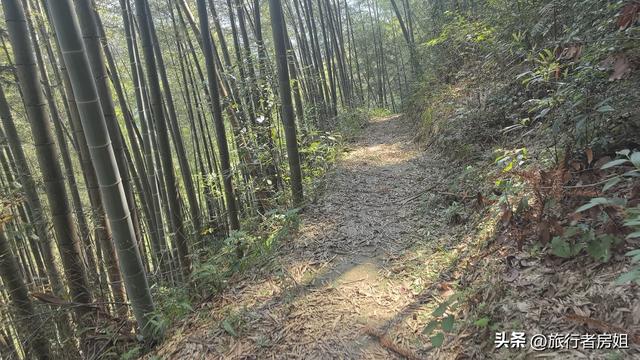 一条古道从浙江到安徽，全程经过三个古村落