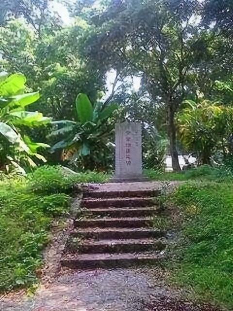 又来广东之一百 惠州篇之十一 罗浮山（4）