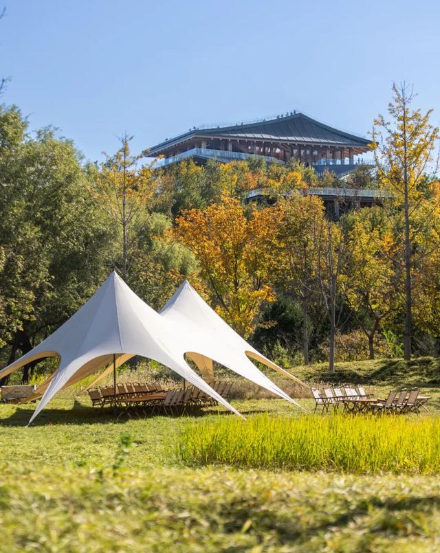 来南森，且看秋风渡