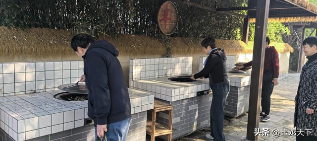 晨光与深呼吸：在同里湿地公园的万步悠然