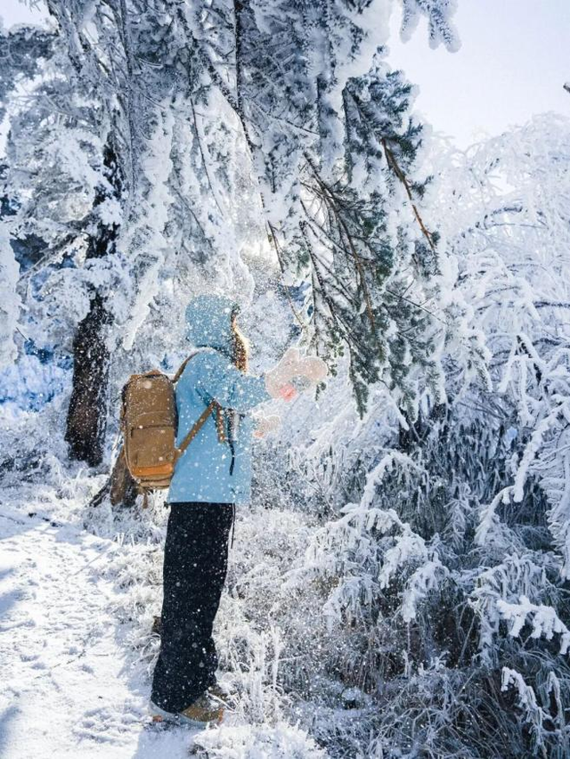 在雅安！！这么美的雪景我当然狠狠宣传啊啊啊！！
