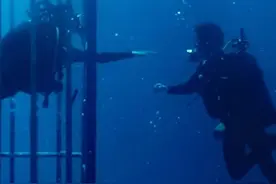 潜水教练故意快速下潜，致游客想上浮！门店大量刷客…有人耳膜穿孔图片