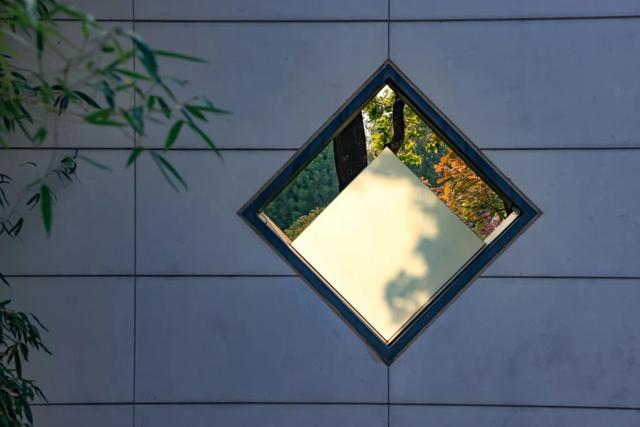 从从容容游刃有余!把江南的秋天“搬进”石景山——