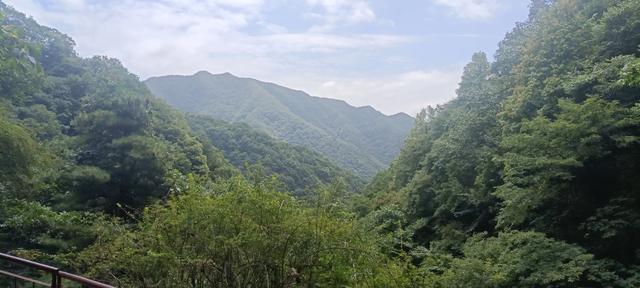 王顺山观景台风光