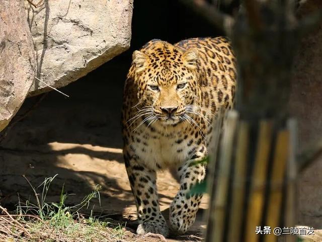 好客山东好品山东｜临沂遛娃去哪儿？初冬攻略收藏就出发～